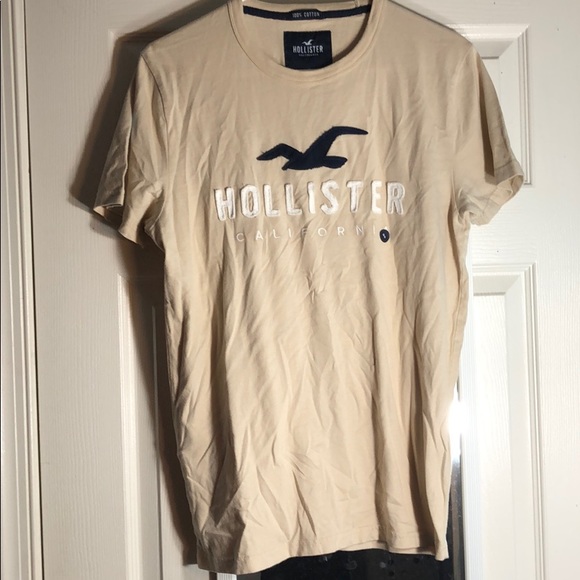 Hollister Other - Tan Hollister T-shirt